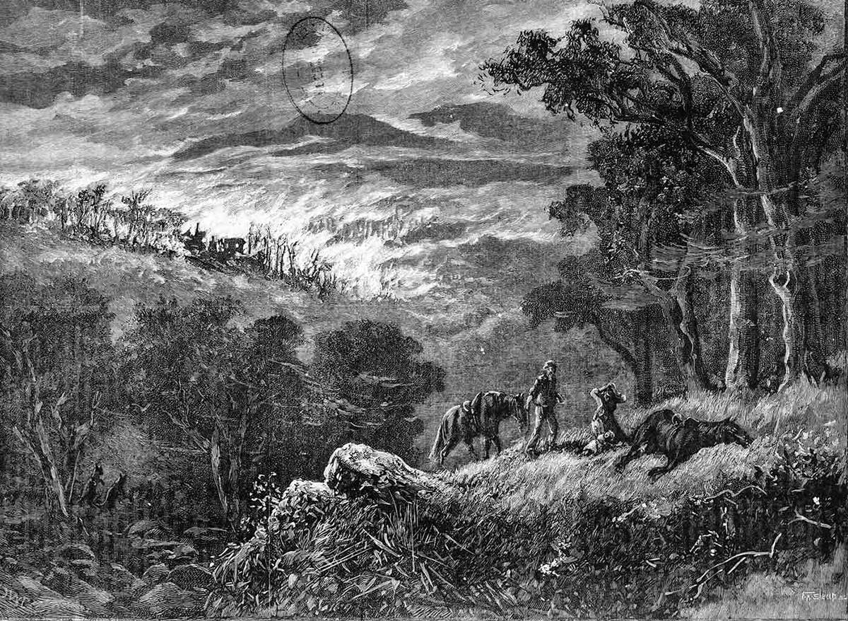 Remembering Black Thursday: Australia’s Historic Bushfire Catastrophe ...